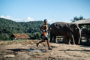 BIB: 
                            <button type="button" onclick="openModal(22423667)" class="btn btn-primary btn-sm float-right btn-popup" data-toggle="modal" data-target=".modal-high-quality">
                        <i class="fas fa-shopping-cart"></i> Add to Cart
                    </button>
                                            <button type="button" onclick="isThisMe(22423667, true)" class="btn btn-success btn-sm float-right btn-popup btn-isme hidden" data-toggle="tooltip" data-placement="bottom" title="นี่คือรูปของคุณใช่ไหม คลิกที่นี่เพื่อเอาเข้าอัลบั้ม">
                        <i class="fas fa-plus"></i> Add to album
                    </button>
                    <button type="button" onclick="isThisMe(22423667, false)" class="btn btn-warning btn-sm float-right btn-popup btn-isnotme hidden">
                        <i class="fas fa-ban"></i> Remove from album
                    </button>